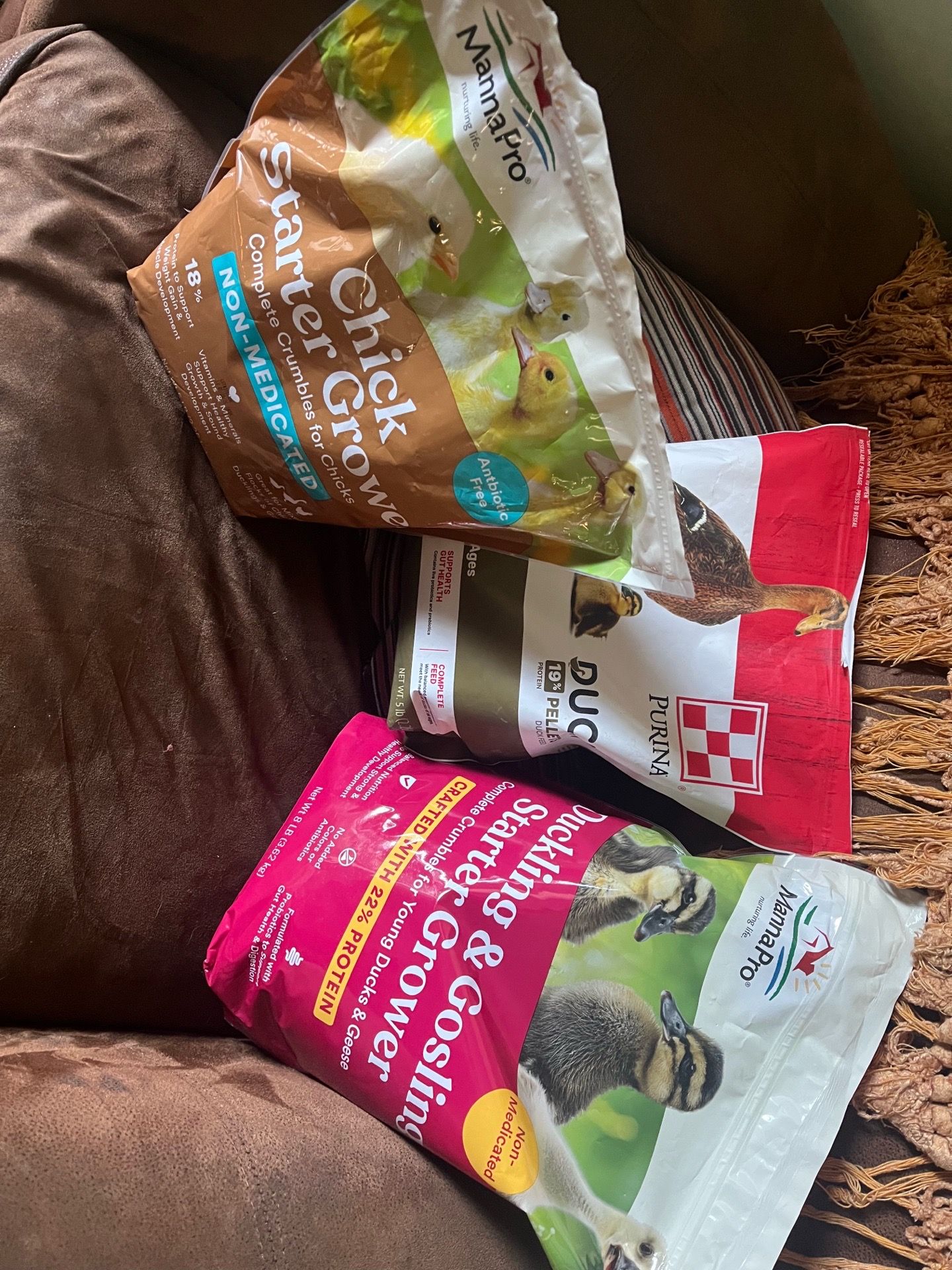 Duck Food