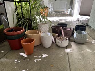 Variety of plant pots