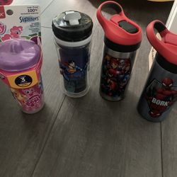 Plastic Bottles And Aluminum Avenger And Spider-Man Water Bottles