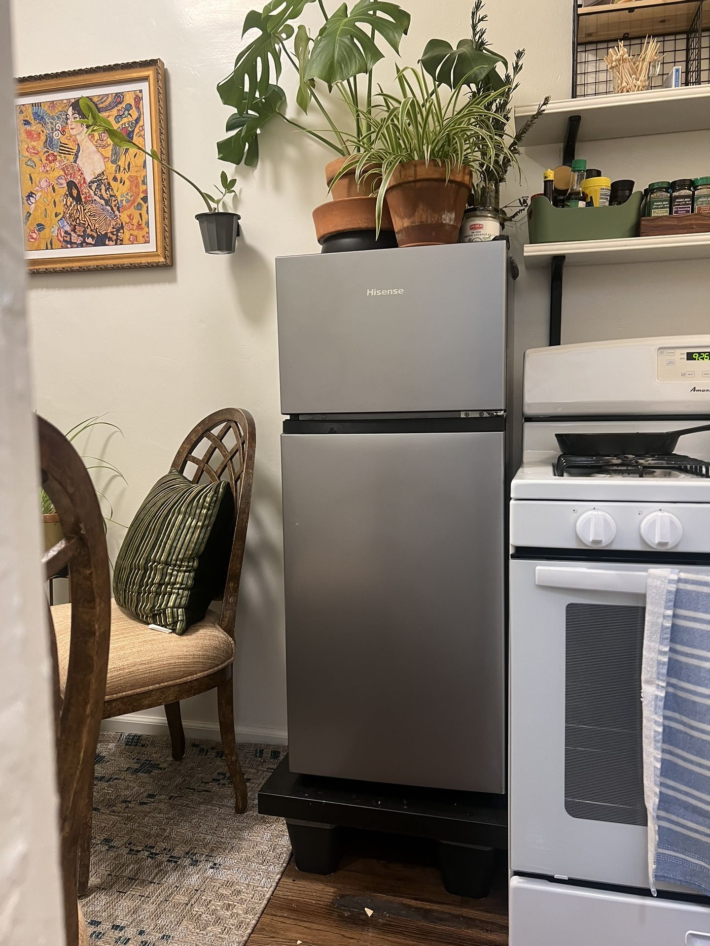 3 Month Old Refrigerator