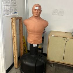 Century Punching Man 