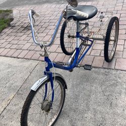 Adult Tricycle 24