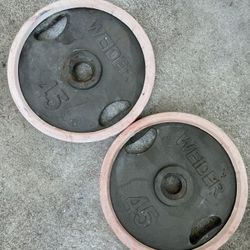 Weider 45 lb. Olympic store Weight Plate