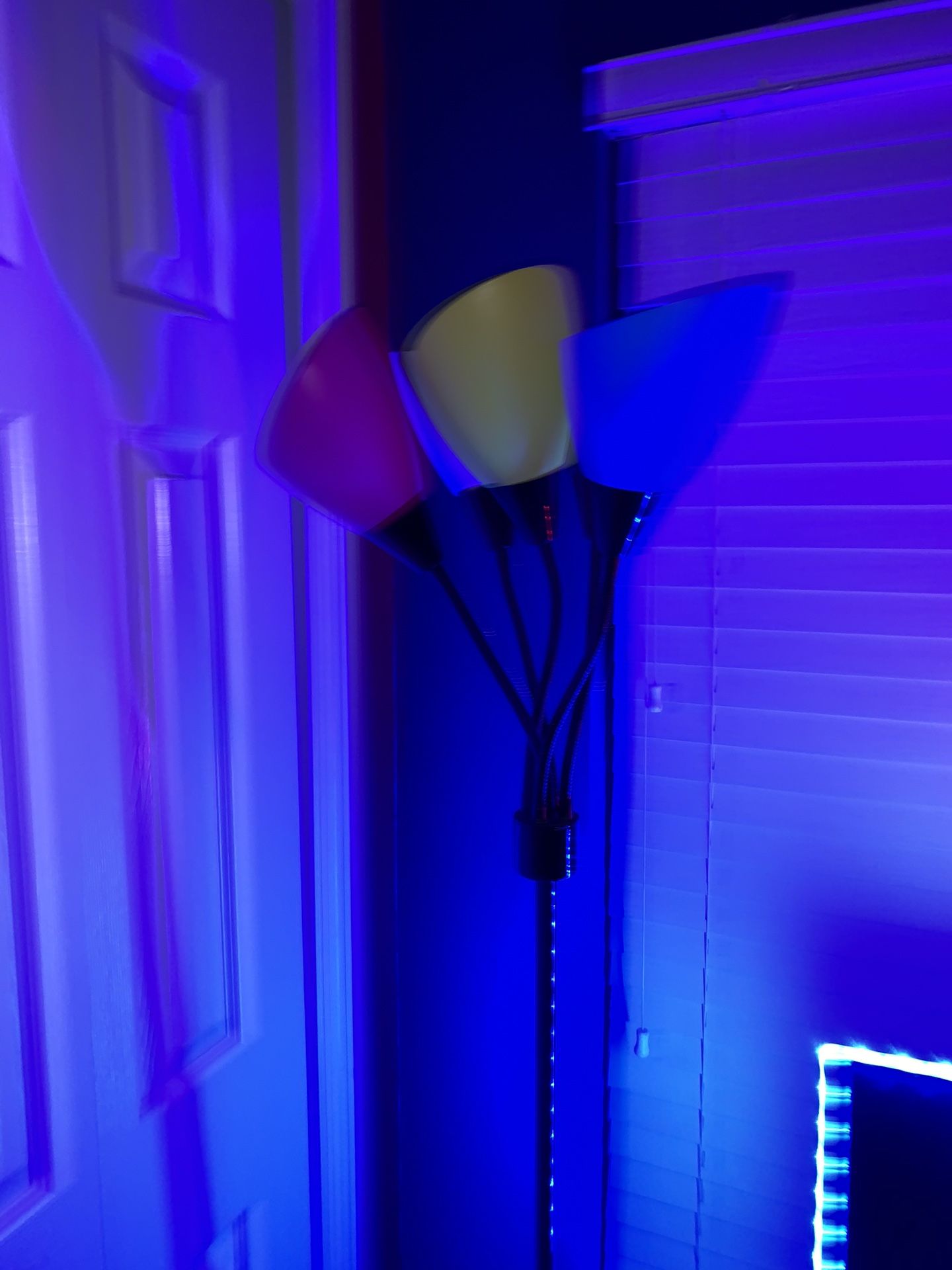 Colored lamp