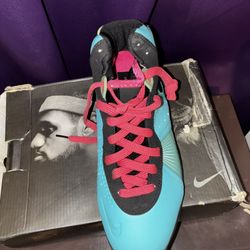 Nike LeBron Sneakers 