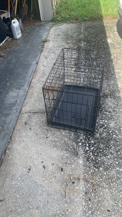 Small Dog Crate Two Door 24 By 16 By 18’inches