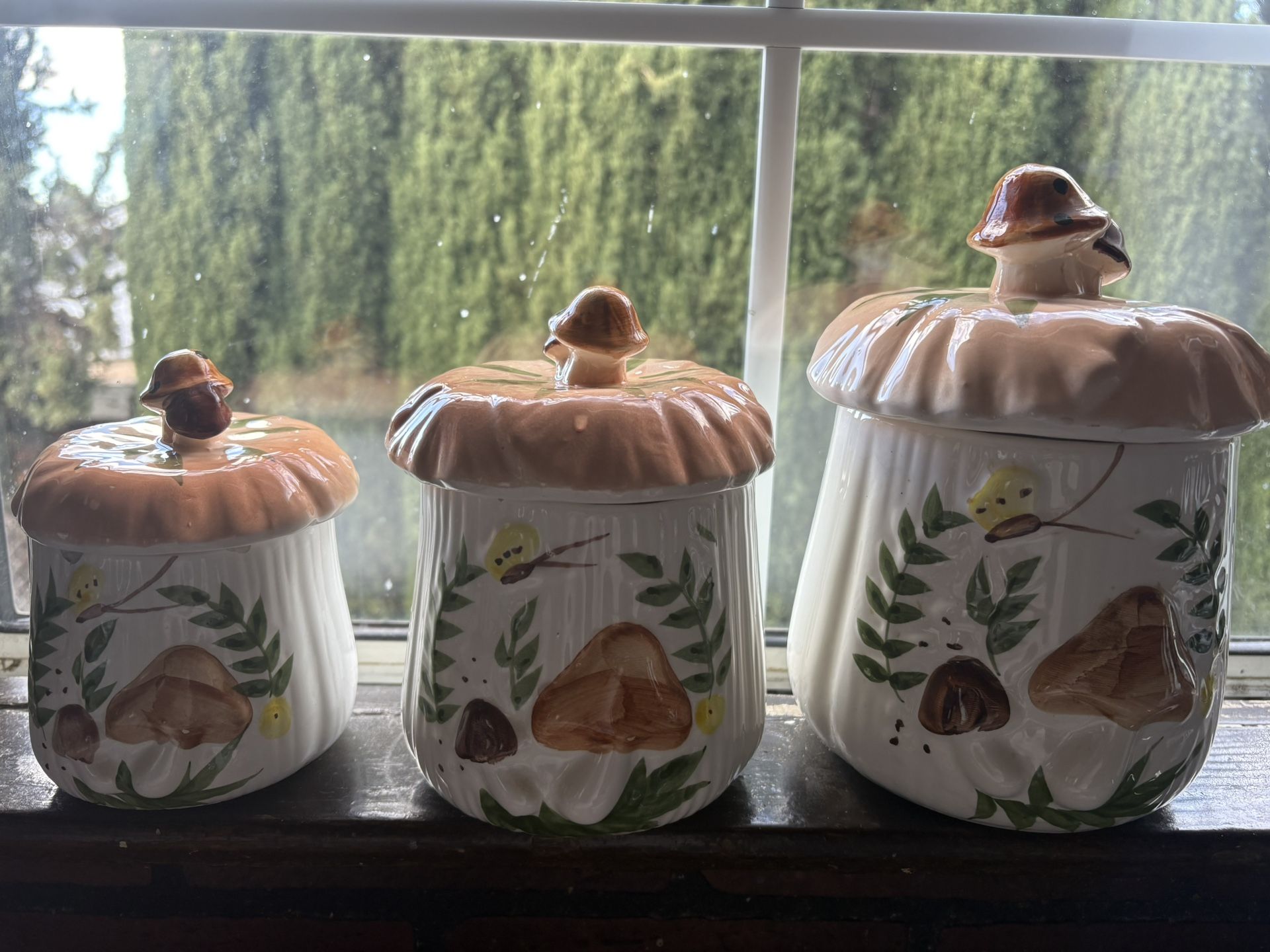 Vintage Mushroom Canisters