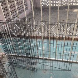 Dog Cage And Cake For The Dogs To Walk Around