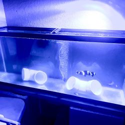 50 Gal Aquarium 
