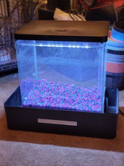 Like New 10gallon fish tank $35.Obo make a offer