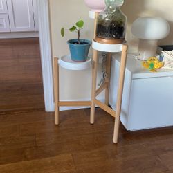Plant Stand
