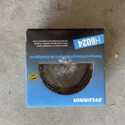 Halogen Head Light
