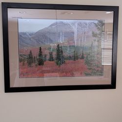 Framed Painting of Scenery in Denali National Park