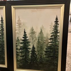 Pair - Framed Art