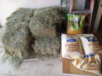 Horse feed