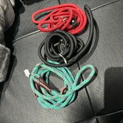 Every Yay Settin The Pace Training Slip Lead Leashes 