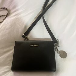 Steve Madden Purse