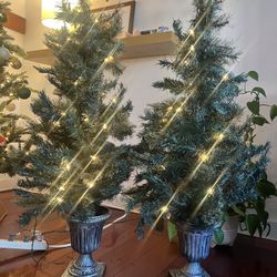 Two 45” Tree With Lifts And Base $50