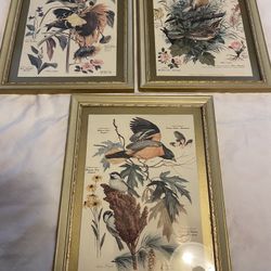 Lot of 3: Signed, Arthur B. Singer, Bird Illustrations 