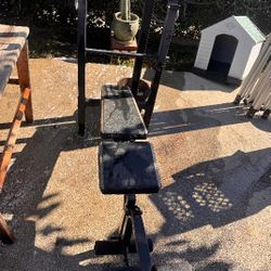 Cap Strength Weight Bench