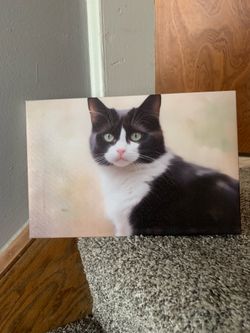 8x10 canvas wrapped print