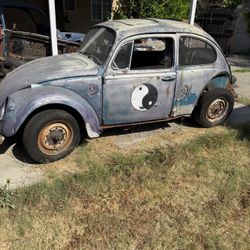Vw Bug 