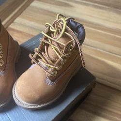Toddler Timberland Size 4