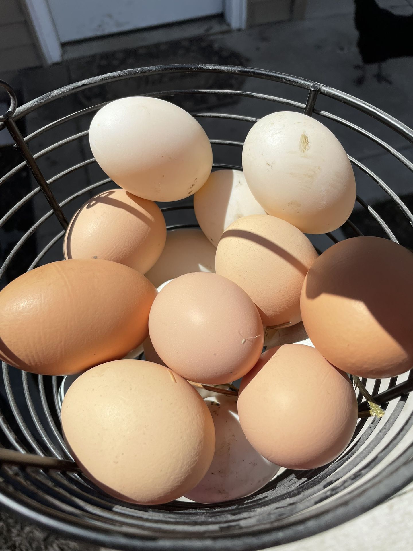 Fresh Chickens Eggs For Sale $5 A Dozen , Duck Eggs $8 A Dozen 