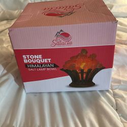 Salt Lamp Bowl New In Box 