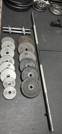 5ft 1” Barbell and 2 handles plus weights