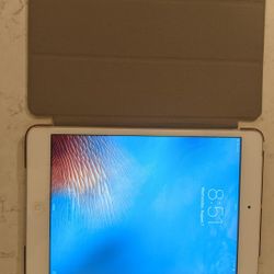 iPad Mini 