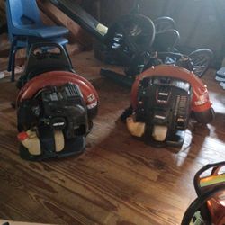 I Have Two Backpack Echo Blowers Commercial And Mint Condition Still Work