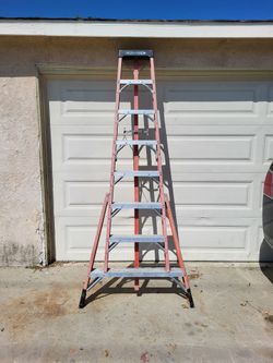 Hedge trimming ladder