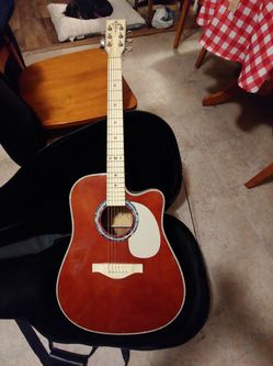 Estaban acoustic/electric guitar