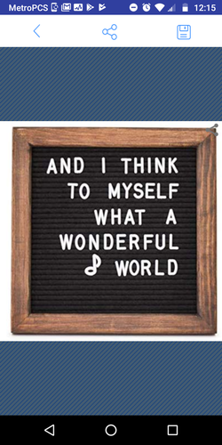 Black Felt changeable letter board