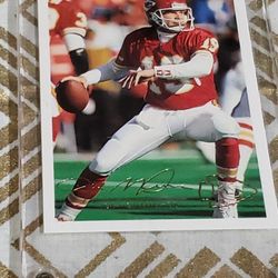 Tampa Bay Sports Memoriabilia - collectibles - by owner - sale - craigslist