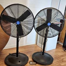 Two 30" Commercial Pedestal Fans 