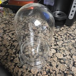 Glass Cloche with Base