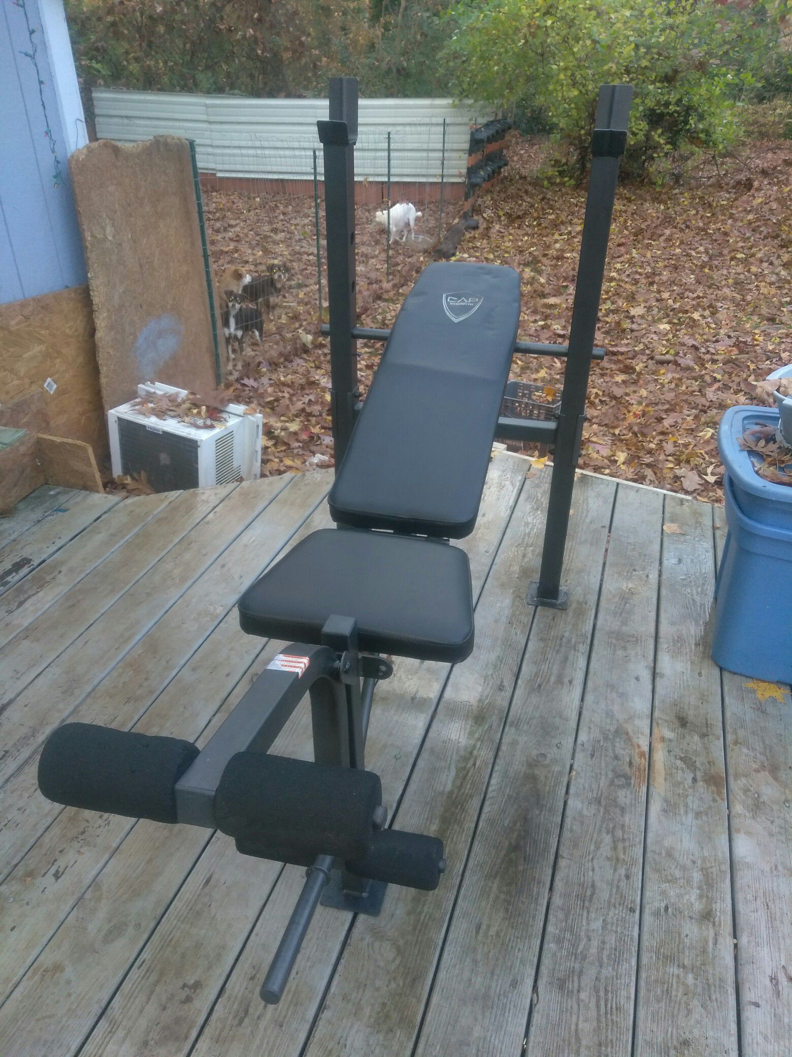 Weight bench only no weights.