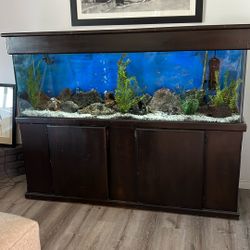 135 Gallon Aquarium Fish Tank