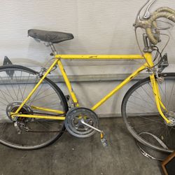  Vintage Schwinn 10 Speed 22” 