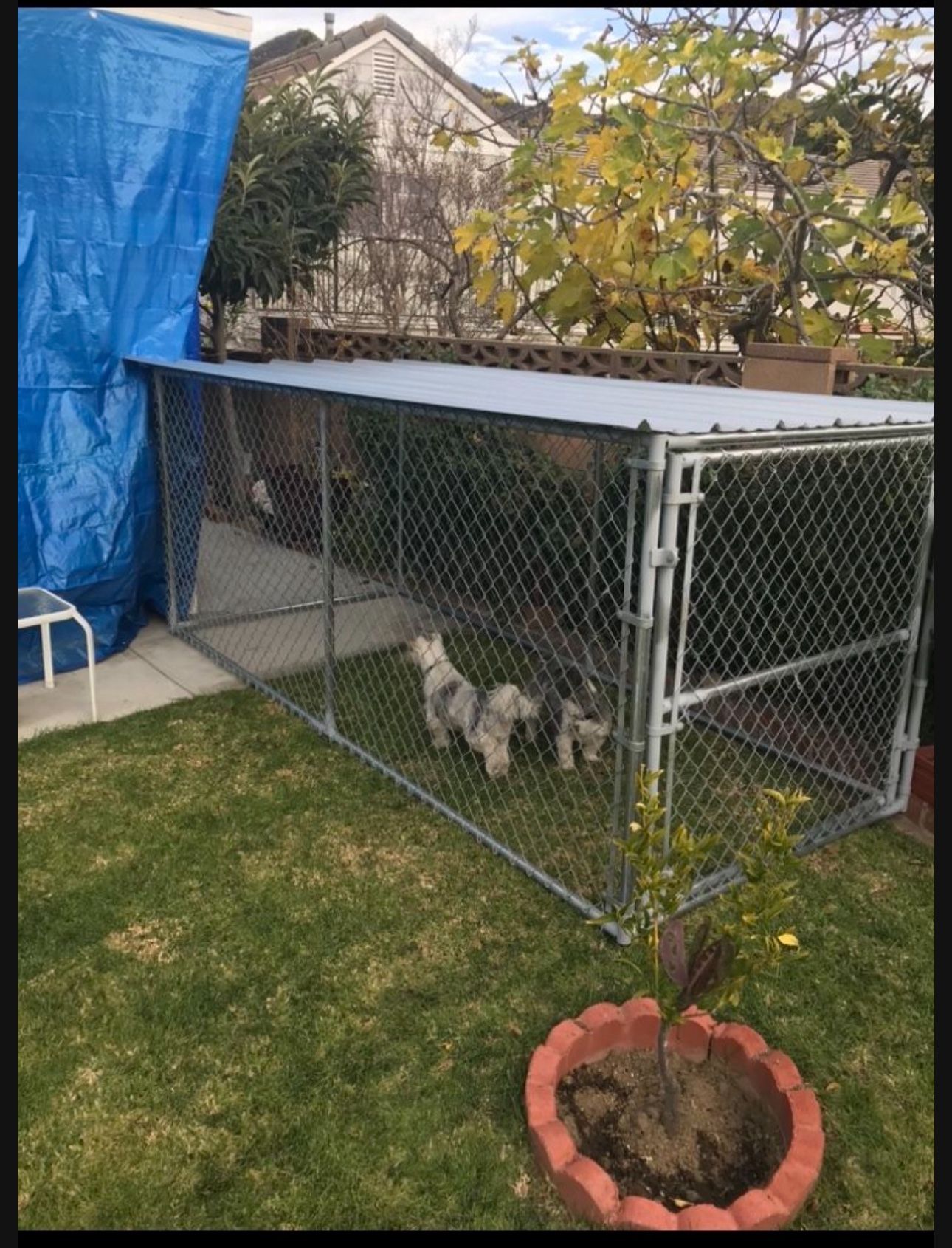 Dog Kennel With Waterproof Installed Roof 4x4x10