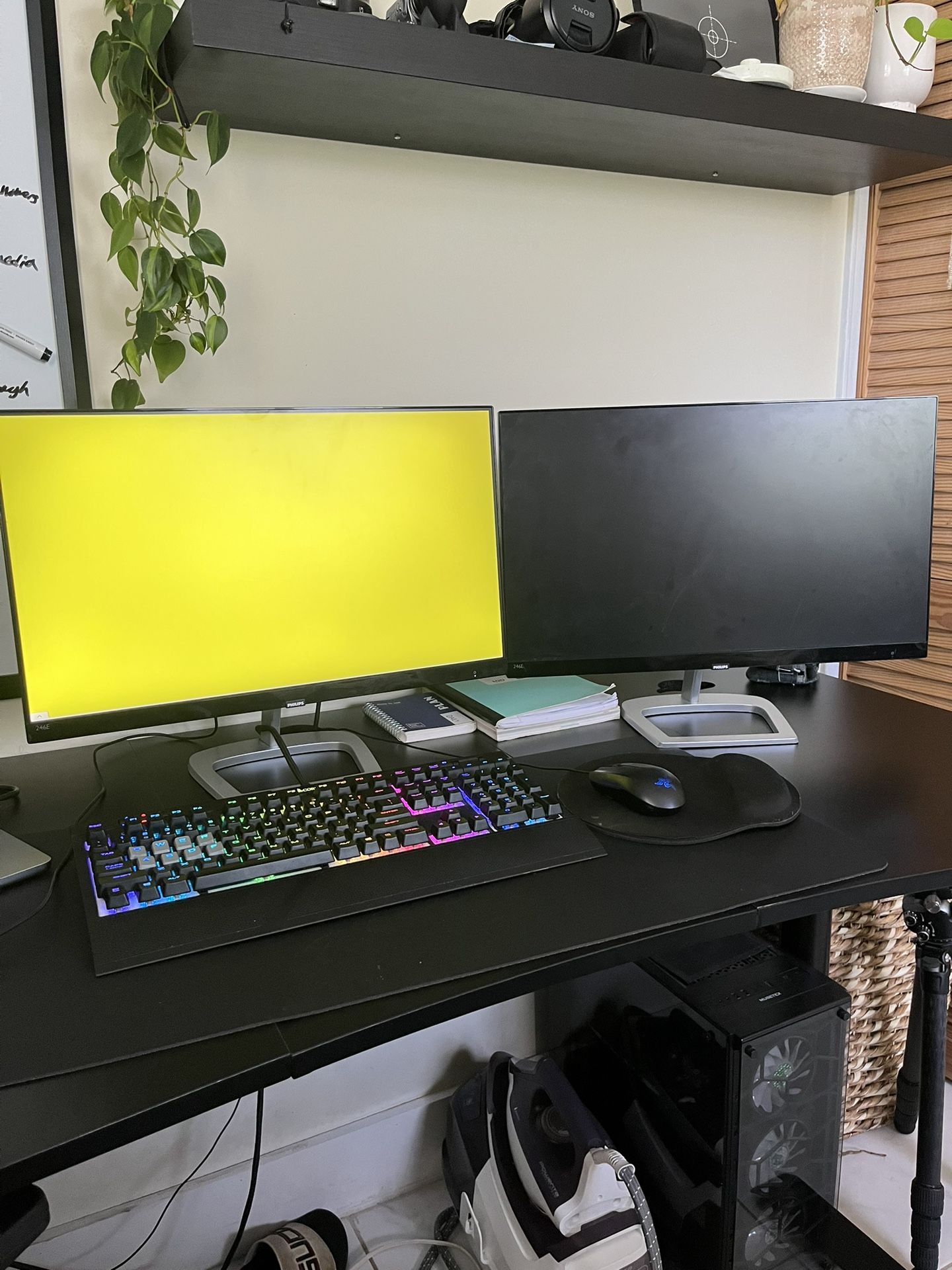 Philips 246E9Q monitors X2