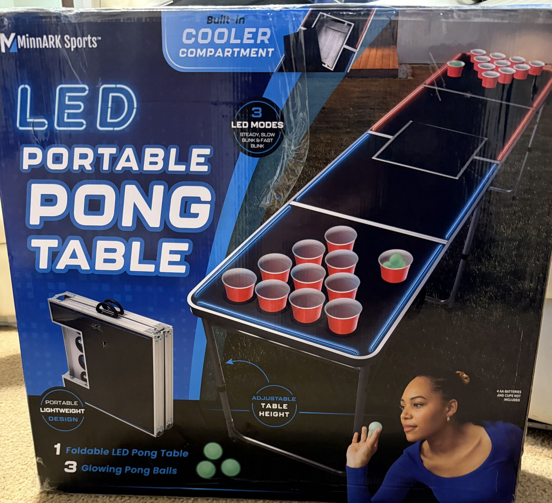 Ping Pong Table