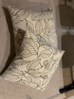 Pair Of Cushions