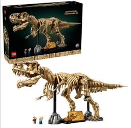 Dinosaur Fossils: Tyrannosaurus rex