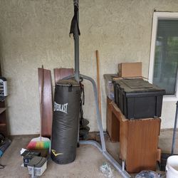 Punching Bag Only (Note Straps Is Ripped)