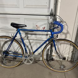 Schwinn Racing Bike