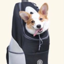Pet Carrier