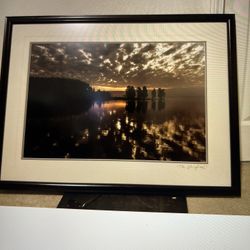 Yellowstone Clouds Framed Signed Print Thomas Mangelsen